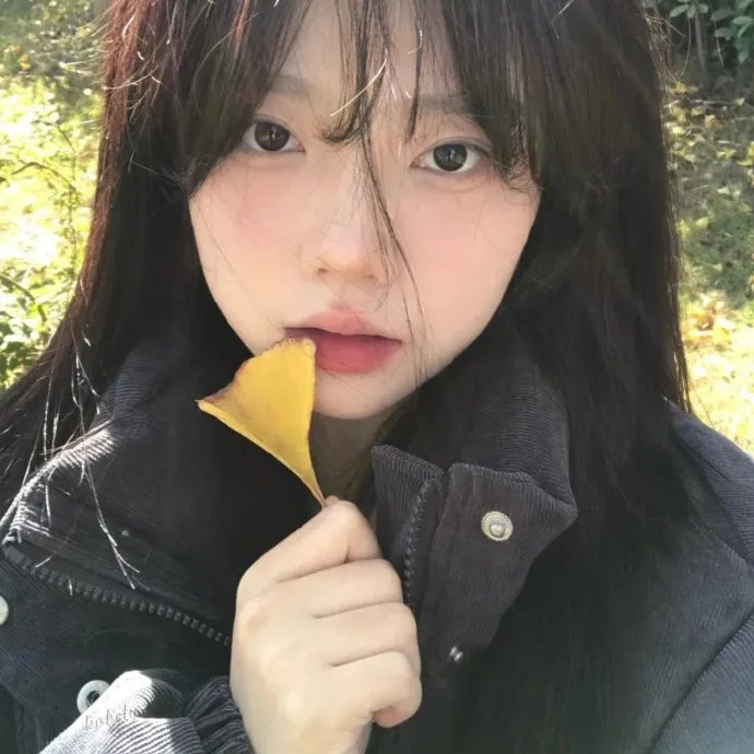 芭蕾职业
